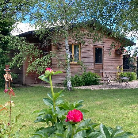 Chalet proche Orleans centre Saint-Jean-le-Blanc Extérieur photo