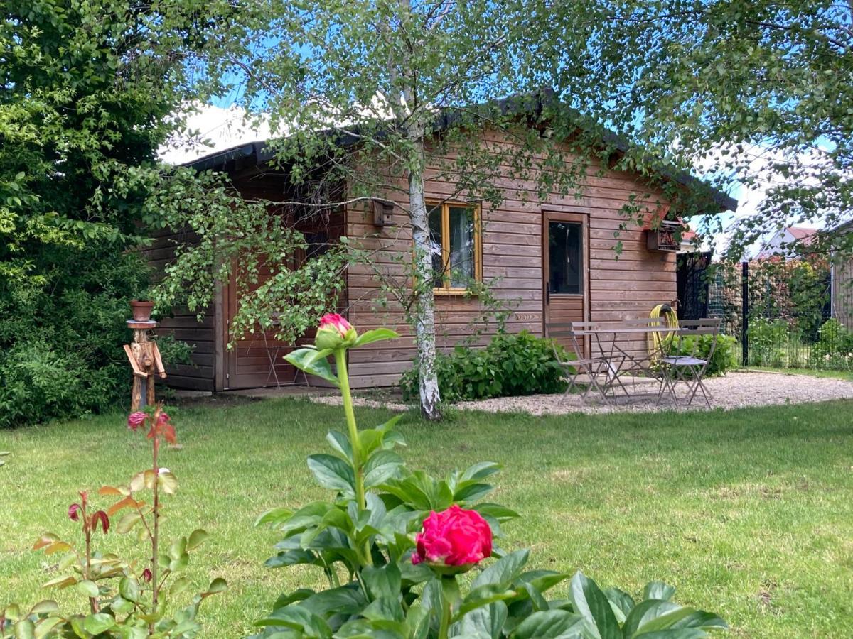 Chalet proche Orleans centre Saint-Jean-le-Blanc Extérieur photo